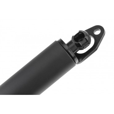 Vérin Hayon de Coffre Gauche Pour Bmw Série 7 E65 E66 E67 51247201461