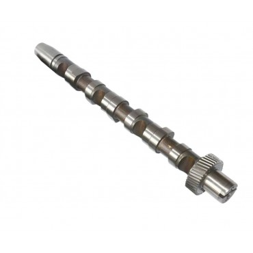 Arbre à Cames Audi A4 A6...