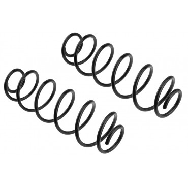 x2 Ressort de Suspension Arrière Pour Citroën C3 II 2009-2016 5102CV 5102CT