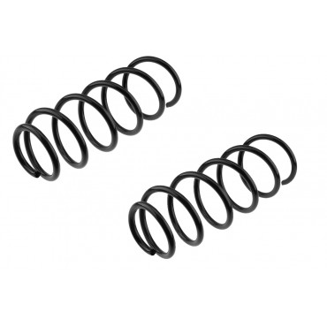 x2 Ressort de Suspension Avant Pour Mitsubishi Colt VI Smart Forfour MR594014