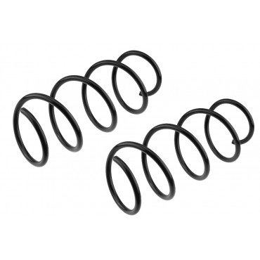 x2 Ressort de Suspension Avant Pour Nissan Micra III 54010AX611 54010AX610