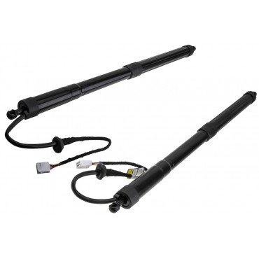 x2 Vérin de Coffre electrique Pour Lexus Ux 2018-2024 6802076010+6801076010