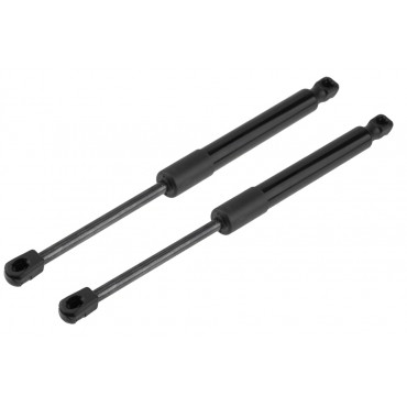 x2 Vérin Hayon de Coffre Pour Tesla Model 3 2017-2020 109156000B 109156000A