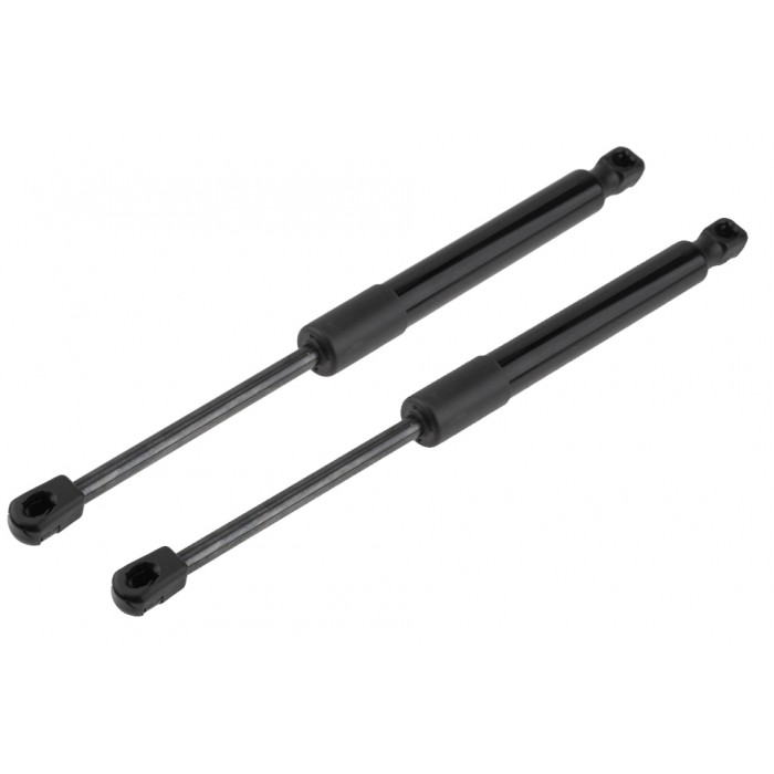 x2 Vérin Hayon de Coffre Pour Tesla Model 3 2017-2020 109156000B 109156000A