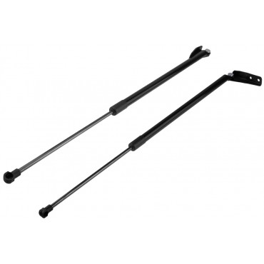 x2 Vérin Hayon de Coffre Pour Nissan X-Trail III 2014-2021 904514BA2B 904514BA0B