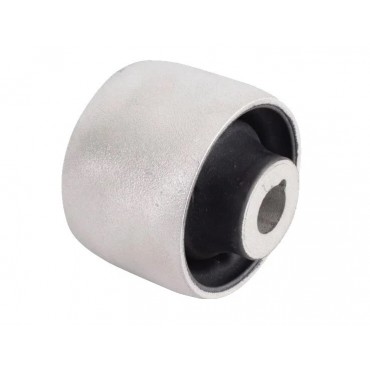 Silent Bloc Bras de Suspension Pour Man Tge Vw Crafter 2N0407182B 2N0407182D