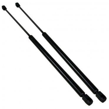 Vérin Hayon Coffre X2...