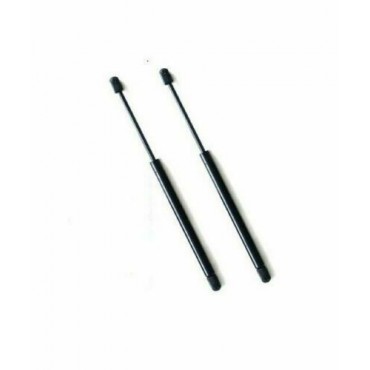 Vérin Hayon Coffre X2...