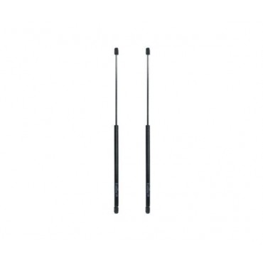 Vérin Hayon Coffre X2...