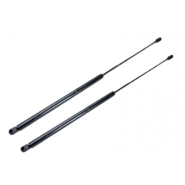 Vérin Hayon Coffre X2...