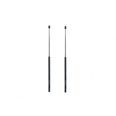 Vérin Hayon Coffre X2...