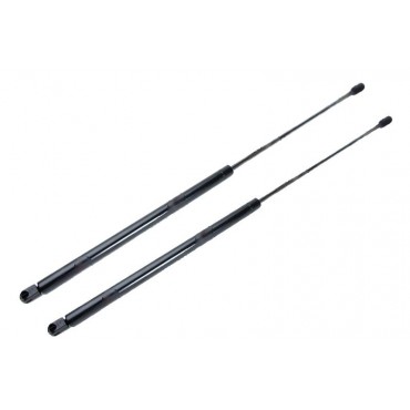 Vérin Hayon Coffre X2...