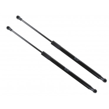 Vérin Hayon Coffre X2...