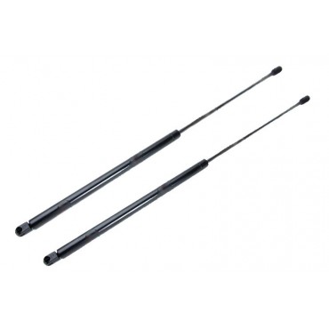 Vérin Hayon Coffre X2...