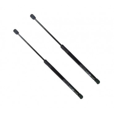 Vérin Hayon Coffre X2...