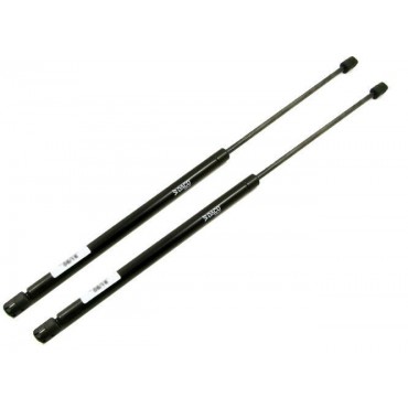 Vérin Hayon Coffre X2 Ford...