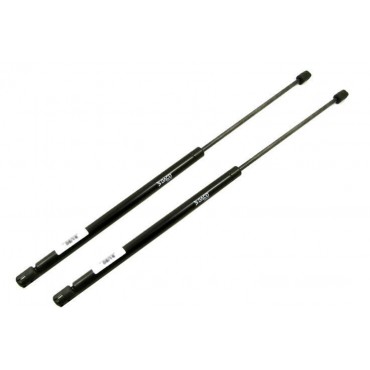 Vérin Hayon Coffre X2 Ford...