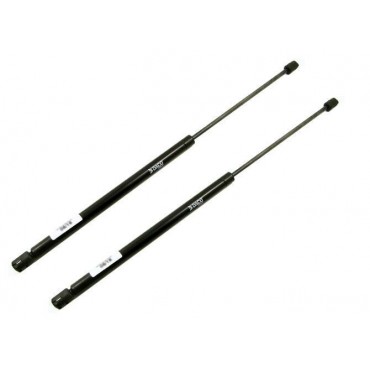 Vérin Hayon Coffre X2 Ford...