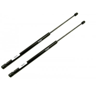 Vérin Hayon Coffre X2 Ford...