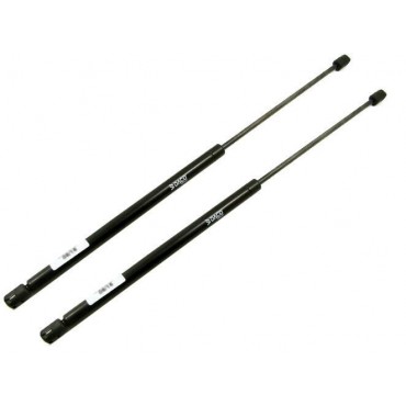 Vérin Hayon Coffre X2 Ford...