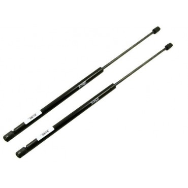 Vérin Hayon Coffre X2 Ford...