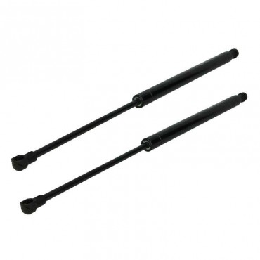 Vérin Hayon Coffre X2 Ford...