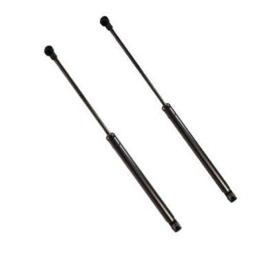 Vérin Hayon Coffre X2 Ford...