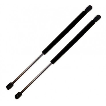 Vérin Hayon Coffre X2 Ford...