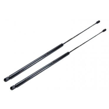 Vérin Hayon Coffre X2...