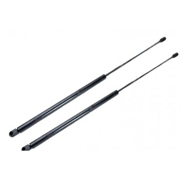 Vérin Hayon Coffre X2...