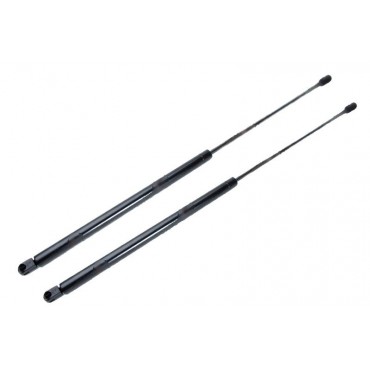 Vérin Hayon Coffre X2...