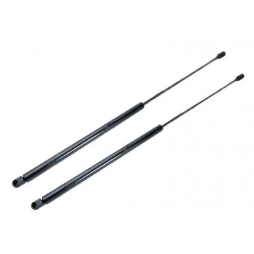 Vérin Hayon Coffre X2 BMW...