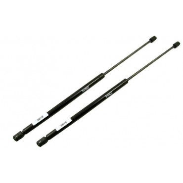 Vérin Hayon Coffre X2 BMW...