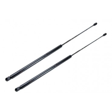 Vérin Hayon Coffre X2 Mazda...