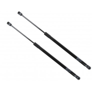 Vérin Hayon Coffre X2 Mazda...