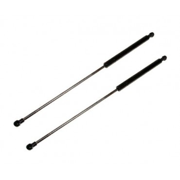 Vérin Hayon Coffre X2...