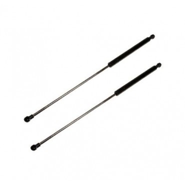 Vérin Hayon Coffre X2...