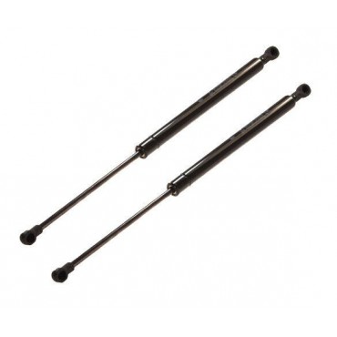 Vérin Hayon Coffre X2...