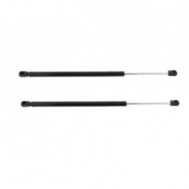 Vérin Hayon Coffre X2 VW...