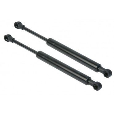 Vérin Hayon Coffre X2 VW...