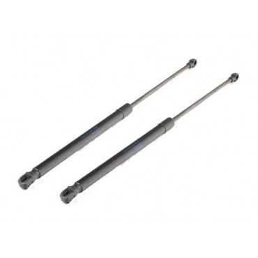 Vérin Hayon Coffre X2 VW...