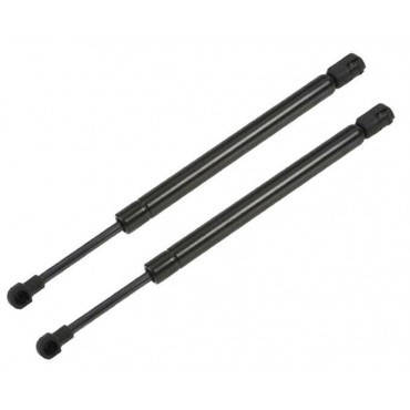 Vérin Hayon Coffre X2 VW...