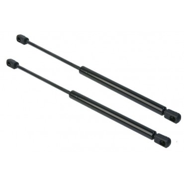 Vérin Hayon Coffre X2 VW...