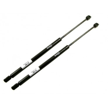 Vérin Hayon Coffre X2 Skoda...