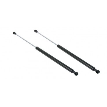 Vérin Hayon Coffre X2 VW...