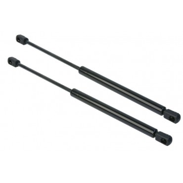 Vérin Hayon Coffre X2 Skoda...