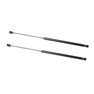 Vérin Hayon Coffre X2 VW...