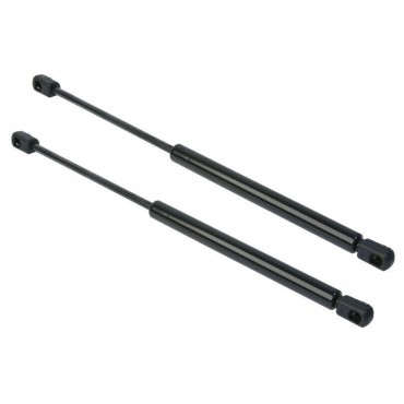 Vérin Hayon Coffre X2 Audi...