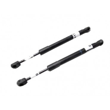 Vérin Hayon Coffre X2 Audi...