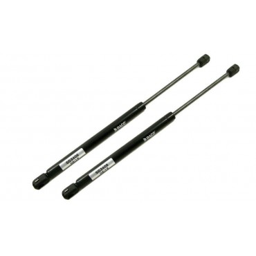 Vérin Hayon Coffre X2 Skoda...